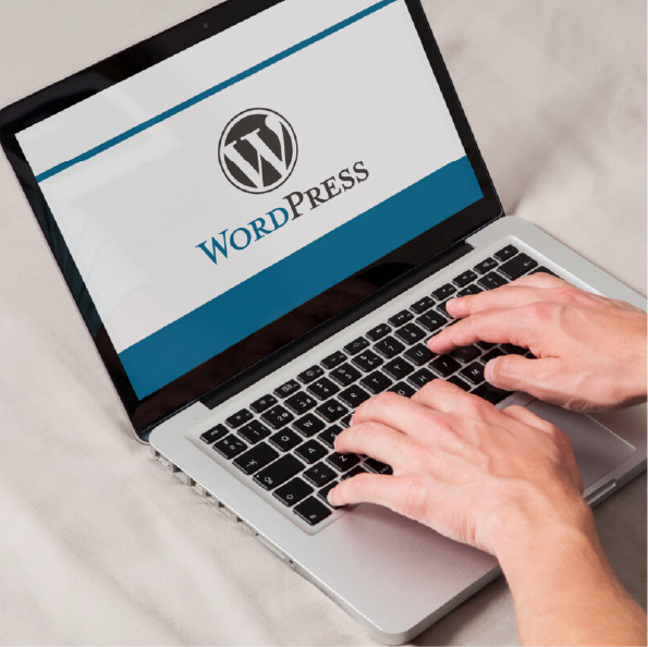  WordPress speed optimisation services
