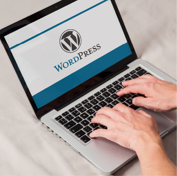 Wordpress Website Development